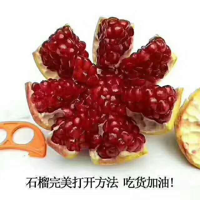 中國劉溝河陰軟籽石榴、軟籽石榴、當日采摘、當天發(fā)出、來河南旅游帶什么特產