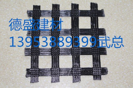 滌綸土工格柵廠家 泰安直銷(xiāo)土工格柵 *惠