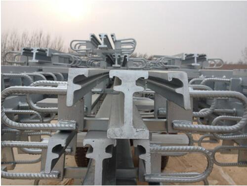 橋梁模數(shù)式伸縮縫D80毛勒伸縮縫