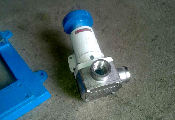 食品機(jī)械柔性轉(zhuǎn)子泵,不銹鋼轉(zhuǎn)子泵流量小性能高