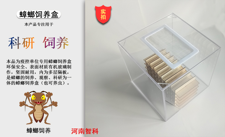 蟑螂誘捕器 帶誘餌 智科儀器