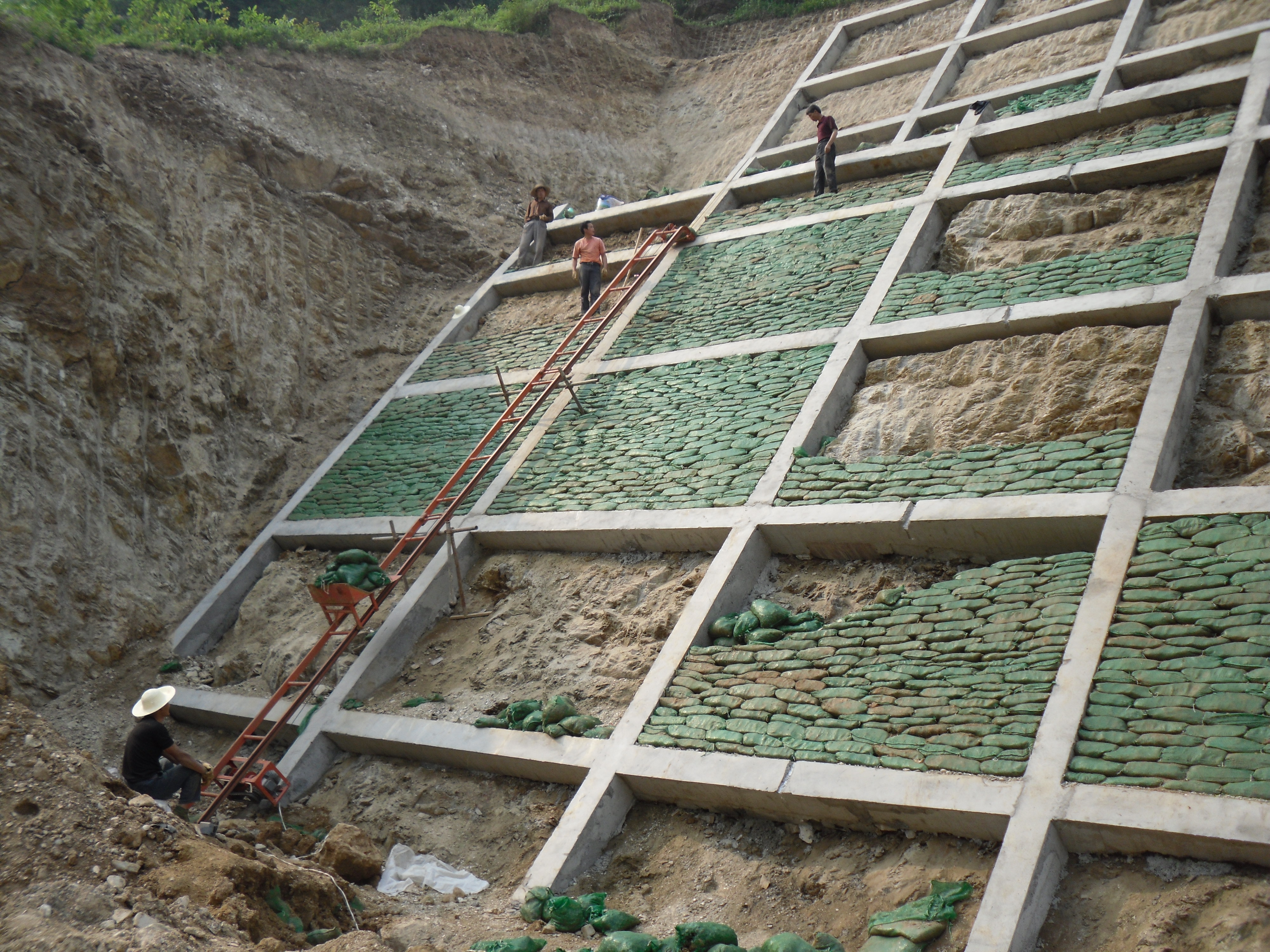 噴播綠化技術(shù)