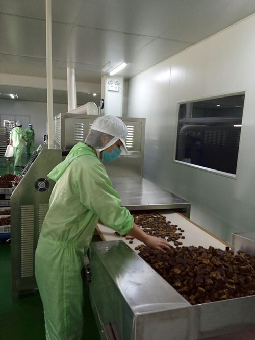 廣州紅糖微波干燥*機廠家