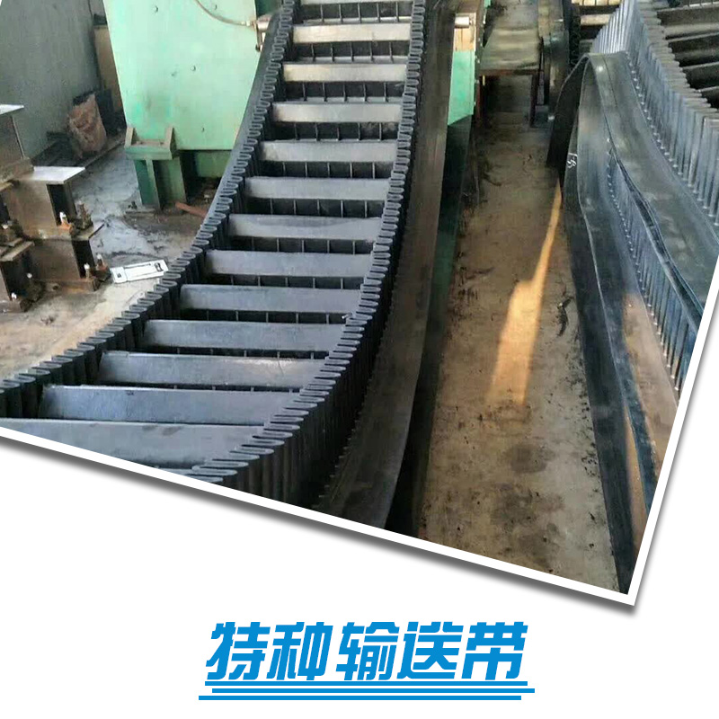 河北特種輸送帶廠家 衡水特種輸送帶訂制 鄭州特種輸送帶報價
