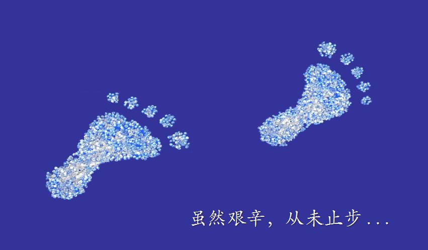 上海熱塑性彈性體 TPE廠家