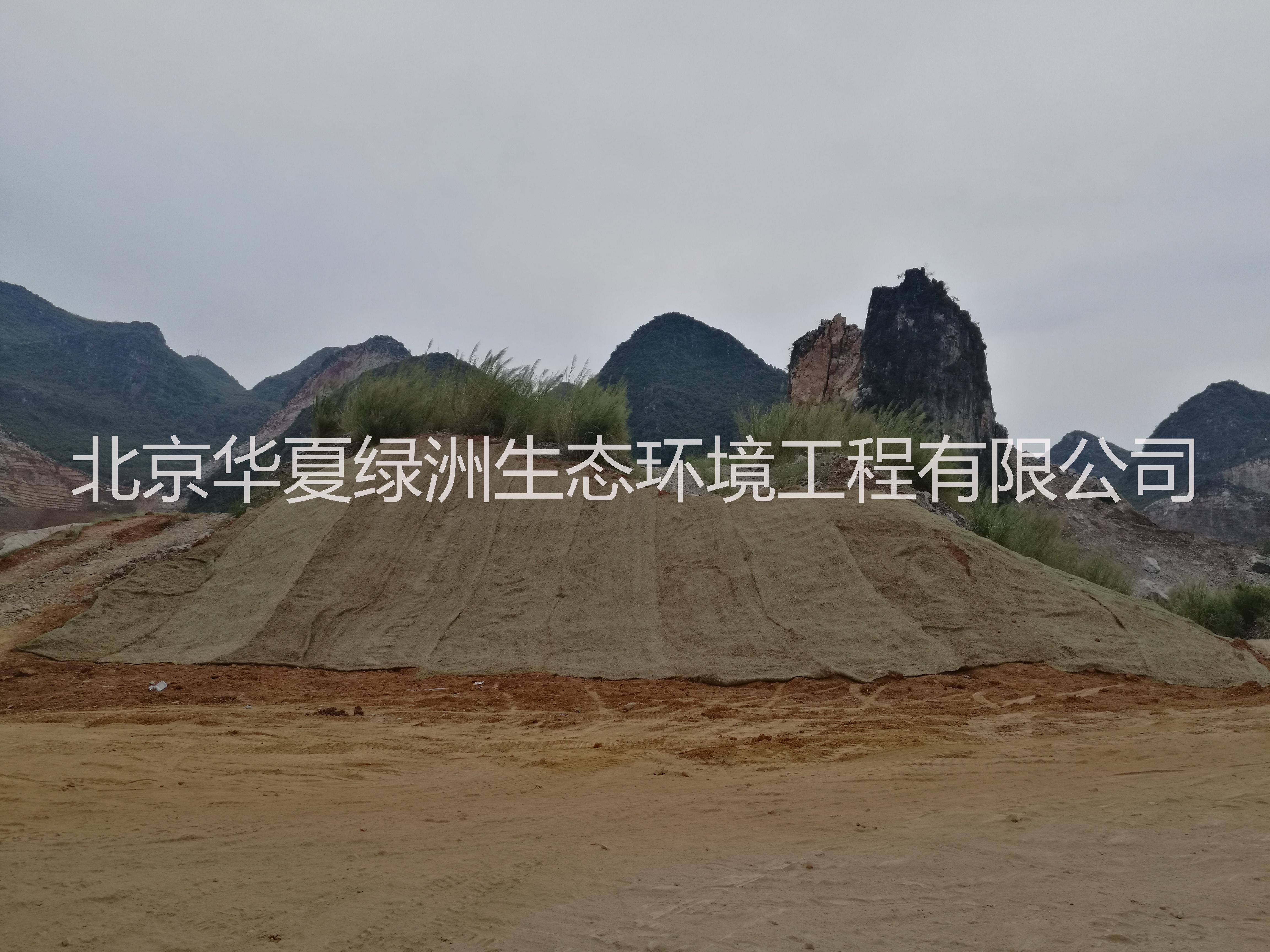 抗侵蝕生態(tài)復(fù)合網(wǎng)  三維侵蝕防護(hù)毯   抗侵蝕防護(hù)毯  三維侵蝕防護(hù)毯   抗侵蝕生態(tài)復(fù)合網(wǎng)