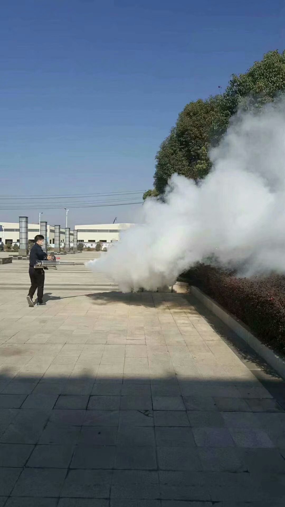 專業(yè)滅鼠除蟲白蟻防治*