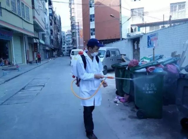 韶關(guān)滅鼠公司電話除蟲公司電話