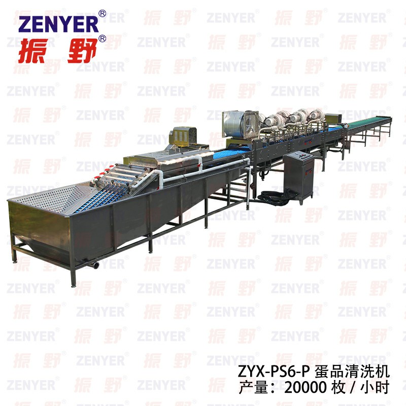 深圳振野全自動(dòng)皮蛋清洗機(jī)毛刷輥松花蛋洗蛋機(jī)廠家直銷大型洗蛋機(jī)