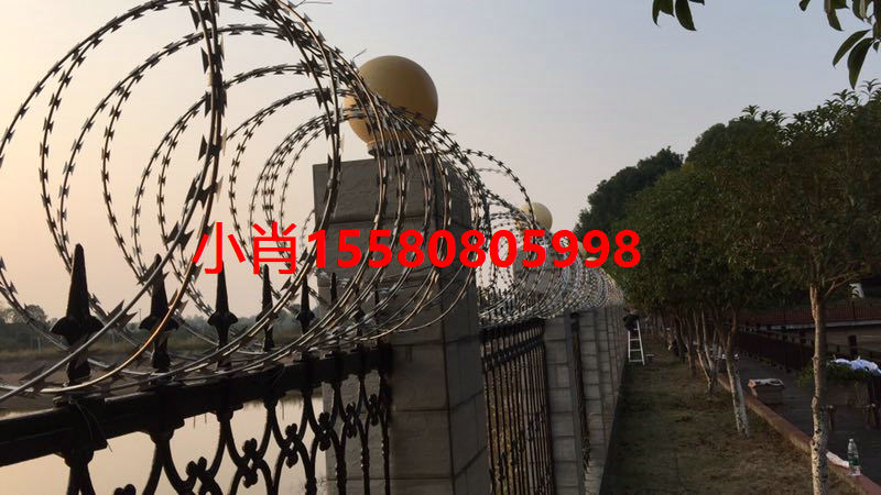 星沙廠區(qū)圍墻防爬刺，不銹鋼防盜刺