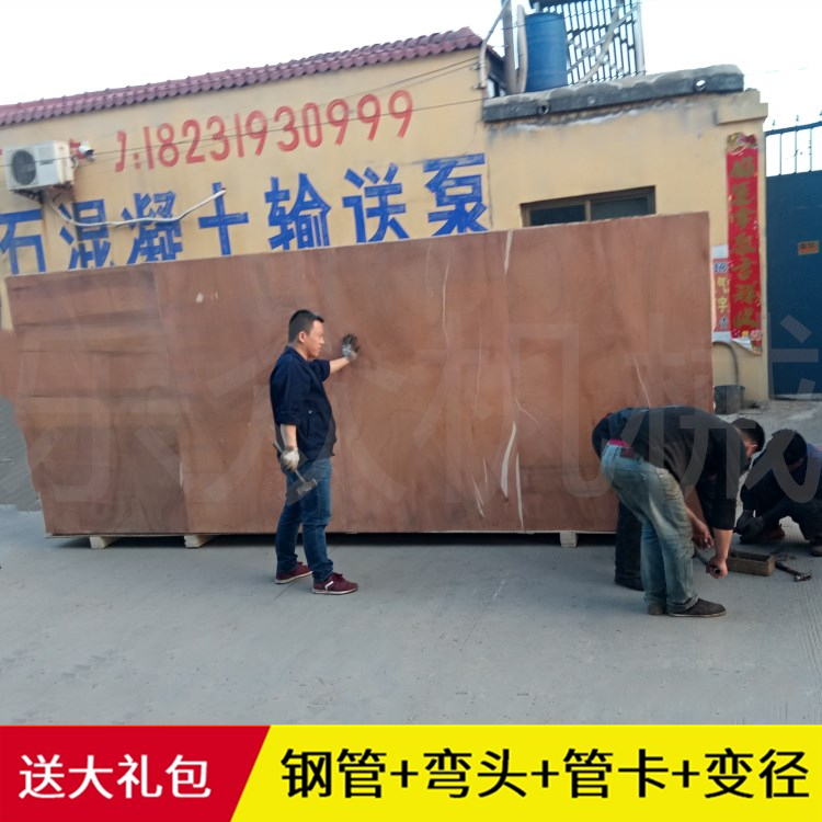 二次構(gòu)造柱泵 細(xì)石泵 臥式液壓全自動(dòng)小型工地上料機(jī) 混凝土輸送泵