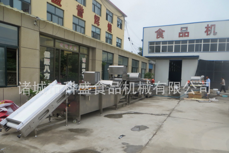 遼寧風干類果蔬渦流震動清洗機-遼寧腌制類食品不銹鋼全自動清洗加工設備