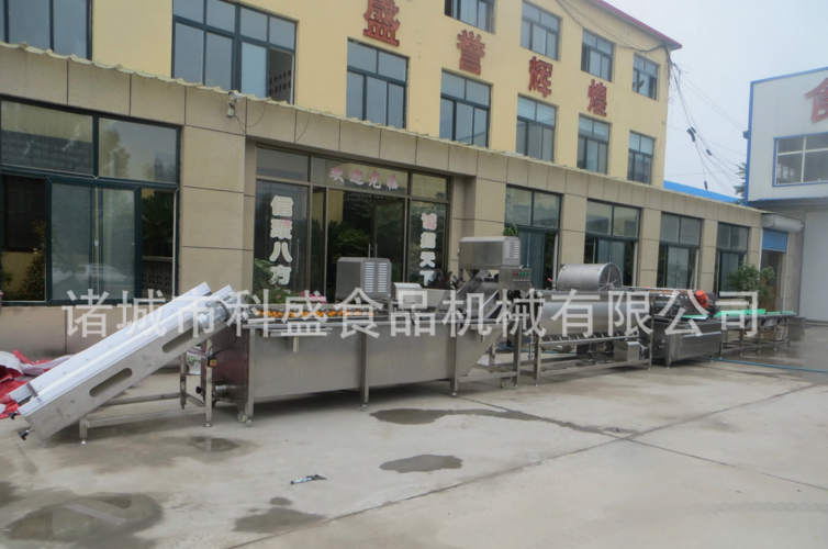 遼寧風干類果蔬渦流震動清洗機-遼寧腌制類食品不銹鋼全自動清洗加工設備