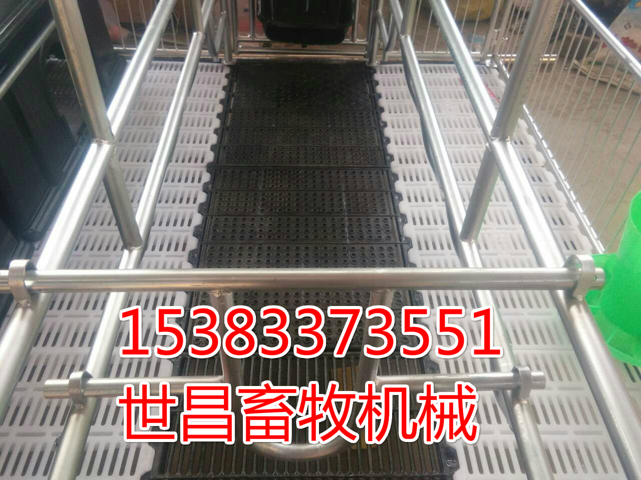 新款母豬分娩豬床母豬產(chǎn)床加寬設(shè)計(jì) 母豬產(chǎn)床   雙體母豬產(chǎn)床