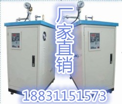 燃?xì)馊加驼羝l(fā)生器