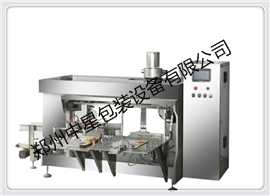 鄭州中星炒貨全自動定量給袋包裝機