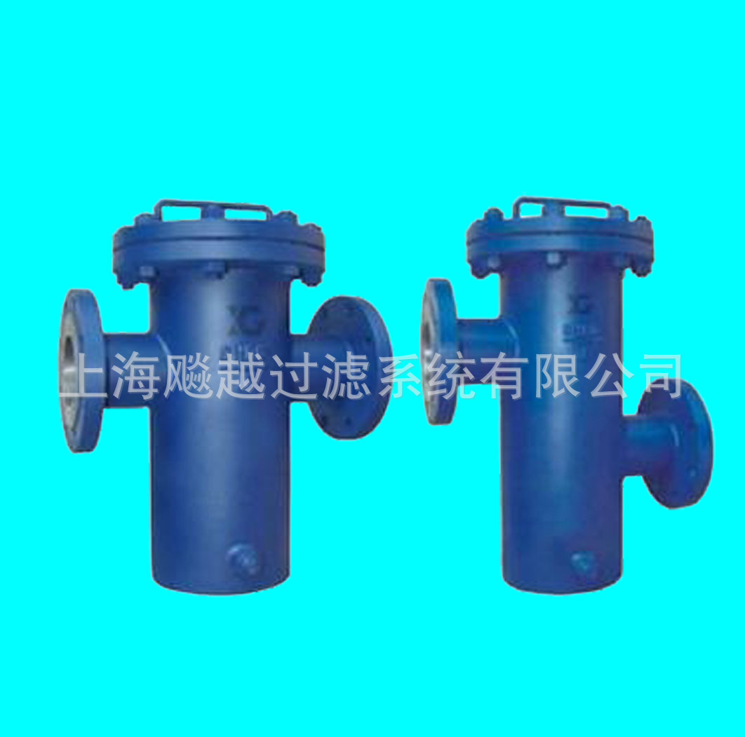 籃式過濾器 藍式過濾器 不銹鋼籃式過濾器 藍式過濾器
