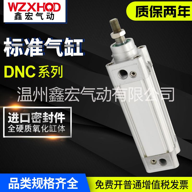 DNC標準氣缸