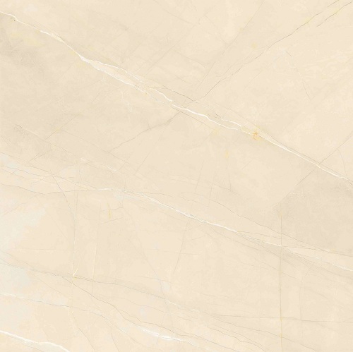 負離子瓷磚 通體大理石瓷磚800*800防滑耐磨磚