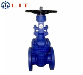 德國(guó)進(jìn)口法蘭閘閥