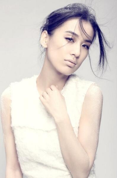 公司合作藝人黃圣依廣告*價位及檔期安排