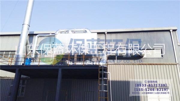 RCO催化燃燒 催化燃燒吸附脫附 有機(jī)廢氣處理 山東保藍(lán)環(huán)保