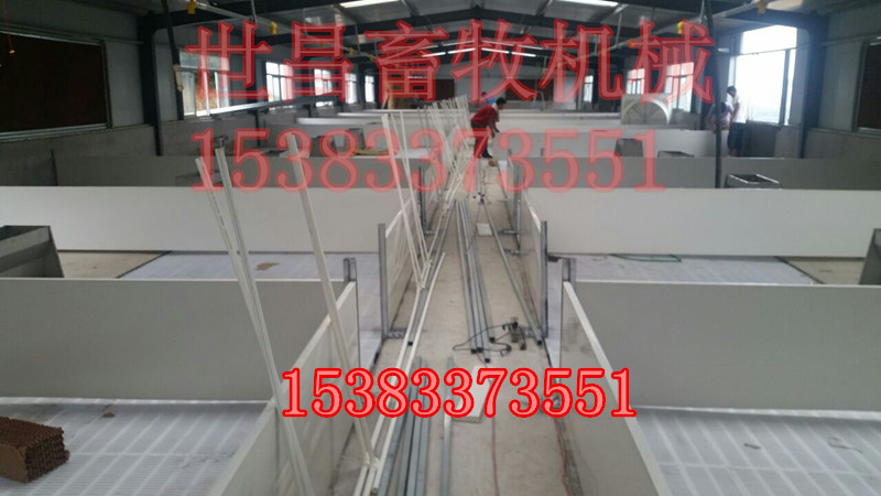 育仔豬床廠家定制尺寸新建豬場(chǎng)歐式保育床價(jià)格