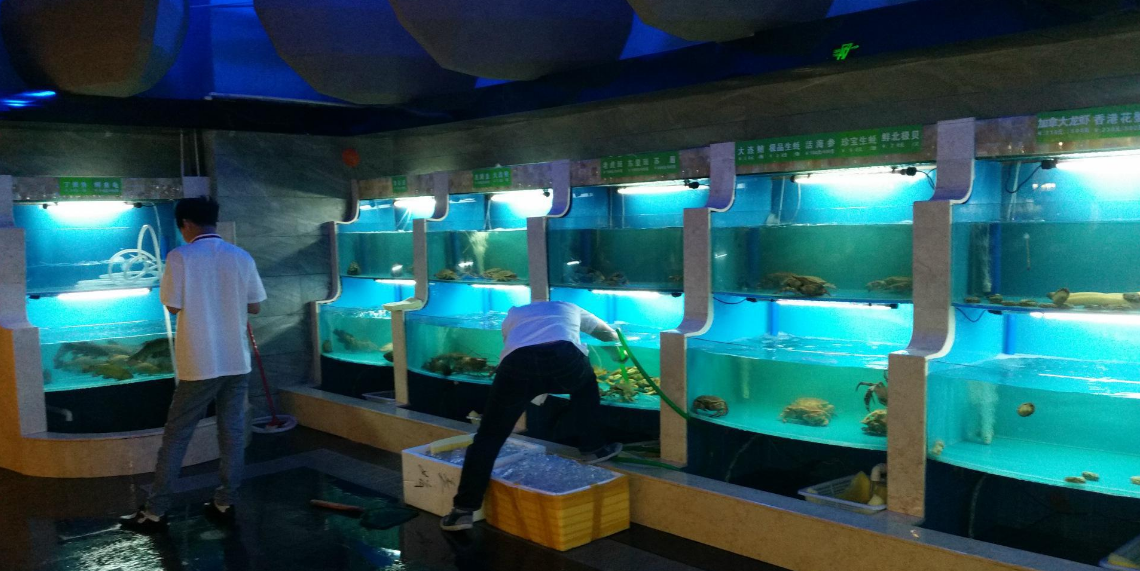 深圳龍華區(qū)民樂(lè)定做海鮮酒家魚池，龍華民塘路哪里有海鮮池定做，民樂(lè)市場(chǎng)制冷魚池安裝