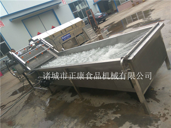 山東廠家直銷果蔬氣泡清洗機