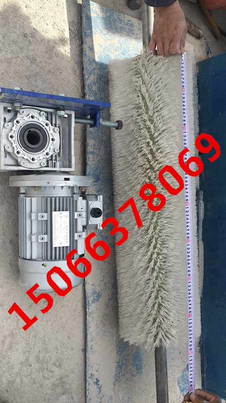 電動(dòng)滾刷清掃器  毛刷刮料器  AY-I-800滾刷清掃器
