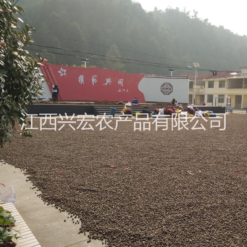 天然*農家茶油山茶油食用油茶籽油自榨孕婦嬰兒護膚純山茶油