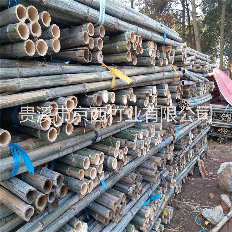 大量批發(fā)綠化支撐桿 2米、2.5米、3米粗竹桿