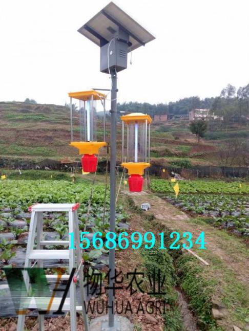 太陽能庭院燈_成都景觀式太陽能殺蟲燈