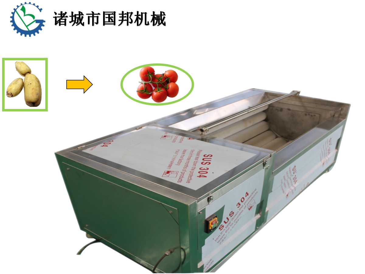 國邦土豆毛刷清洗機(jī)-果蔬毛刷清洗 土豆清洗機(jī)