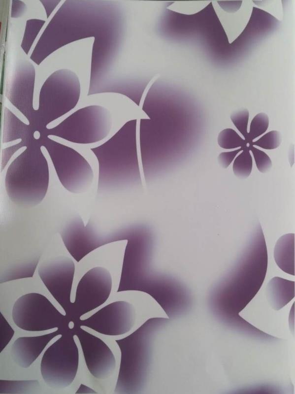 供應彩鋼卷 供應印花彩鋼卷