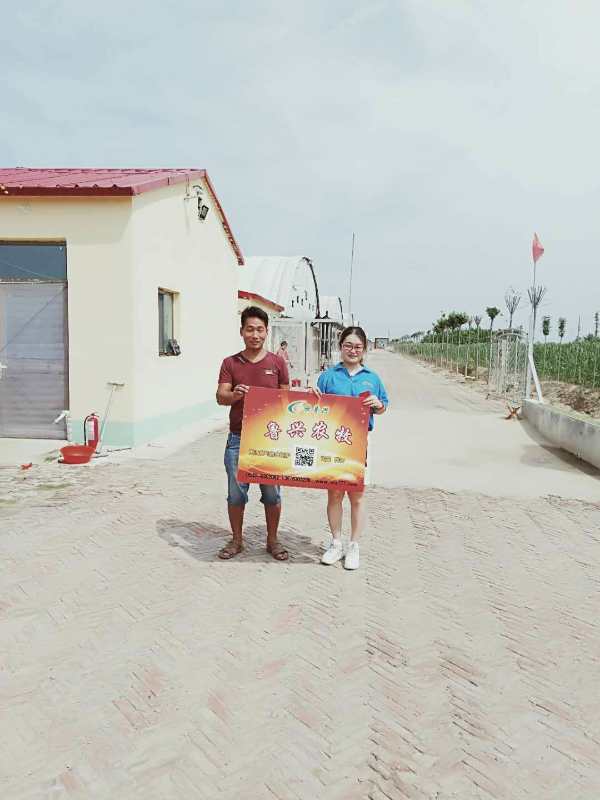 魯興農(nóng)牧肉雞廠肉雞舍的衛(wèi)生管理