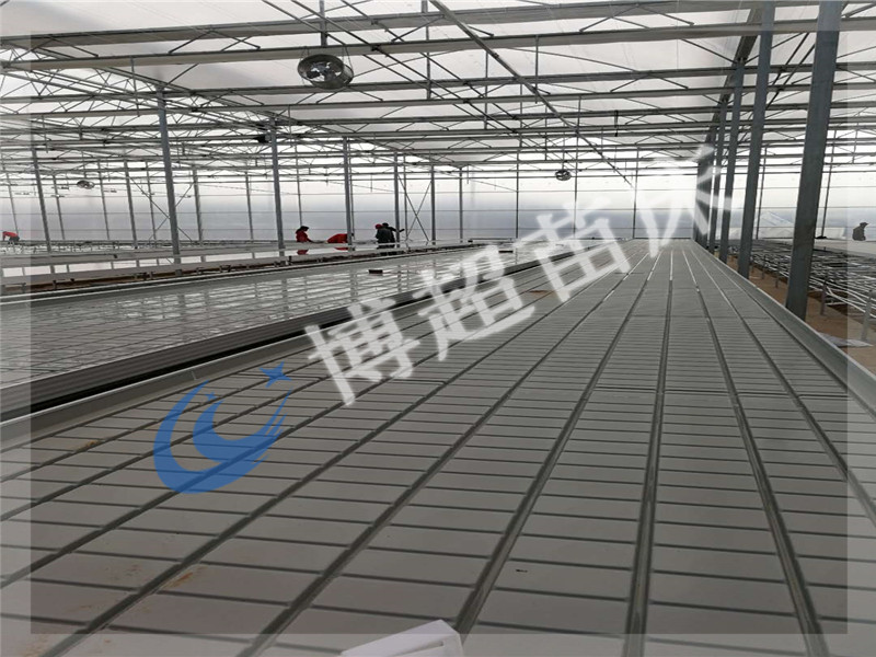 移動(dòng)苗床  潮汐苗床  育苗床