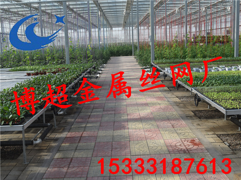 溫室苗床—移動(dòng)苗床，固定苗床