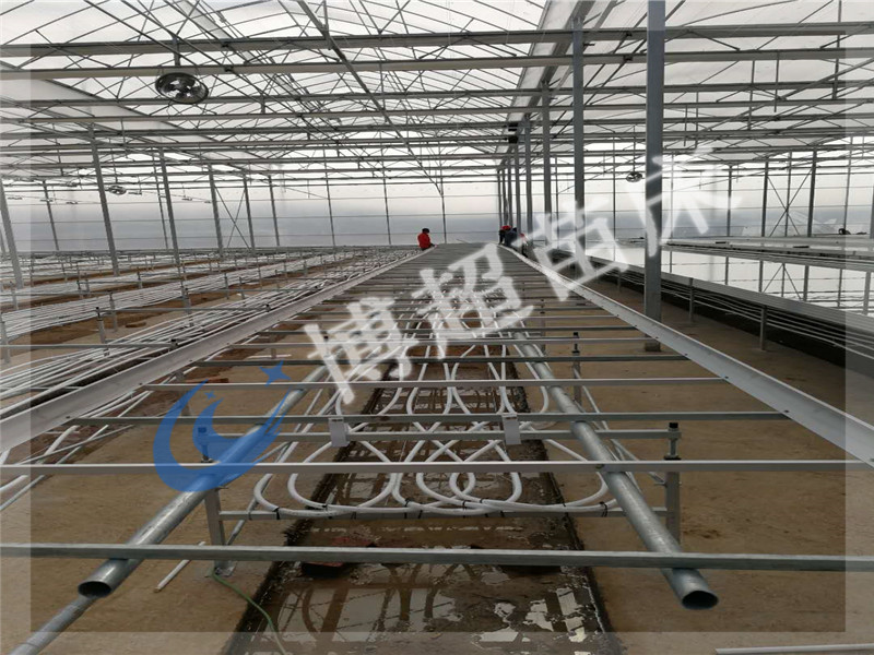 *的溫室苗床網廠家 上海溫室苗