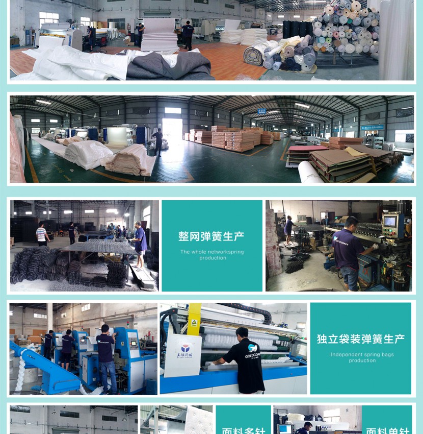 簡約舒適 黃金海岸床墊榻榻米類床墊批發(fā)定制