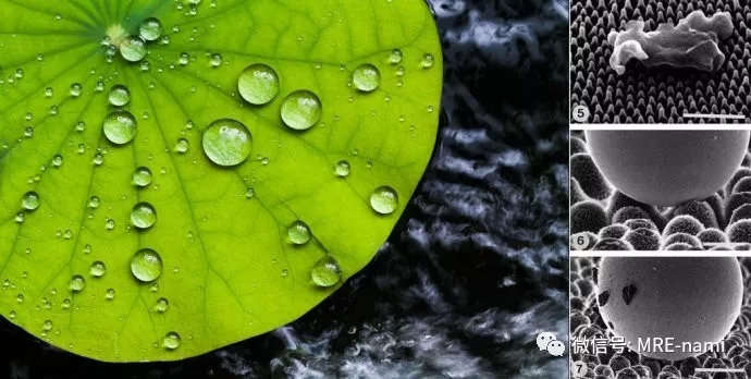 邁瑞邇邁瑞邇新型的防水產(chǎn)品納米涂層