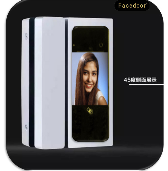 Face door人臉識(shí)別玻璃門(mén)辦公樓*智能門(mén)鎖