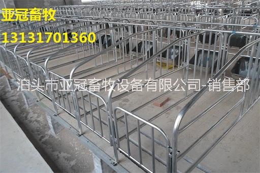 亞冠YG-05母豬定位欄限位欄機(jī)械設(shè)備