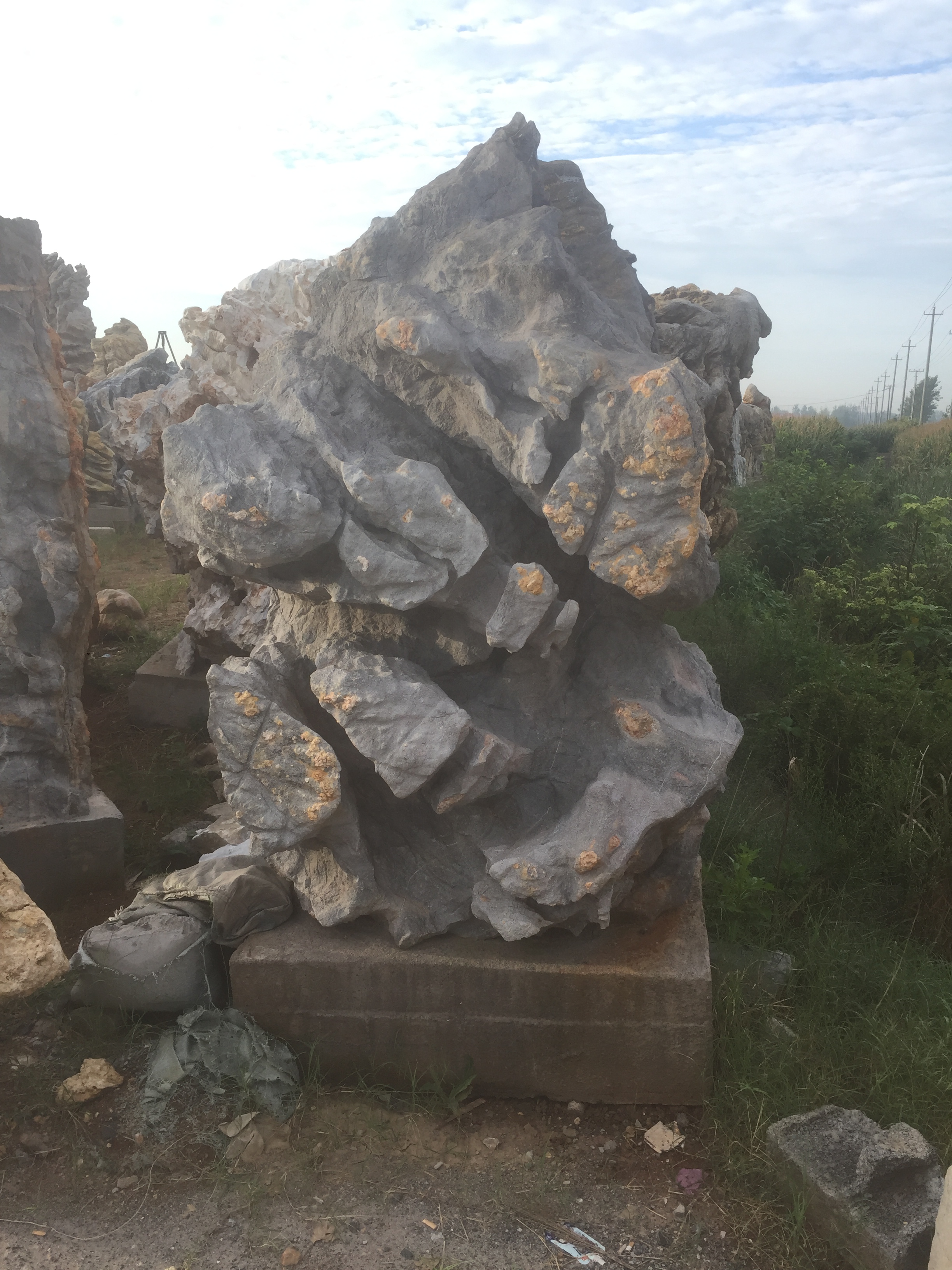 安徽園林景觀石價格_安徽園林景觀石價格供應(yīng)商_安徽園林景觀石