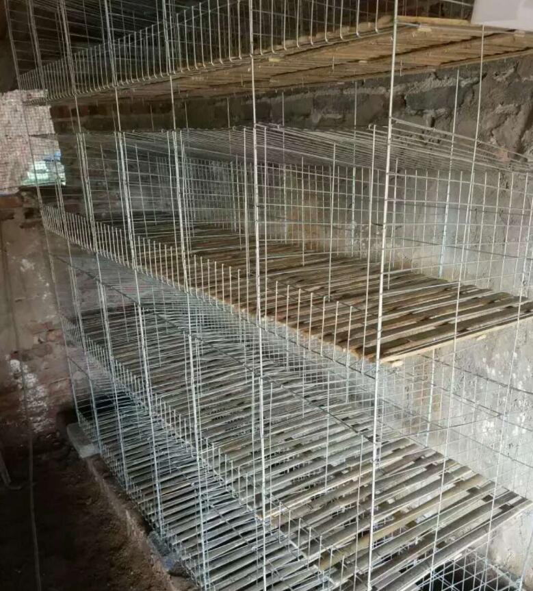 鐵絲兔籠竹底板廠家*