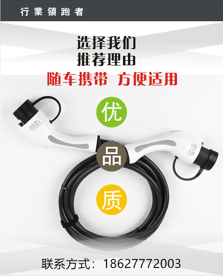 新能源電動汽車雙頭充電槍充電線