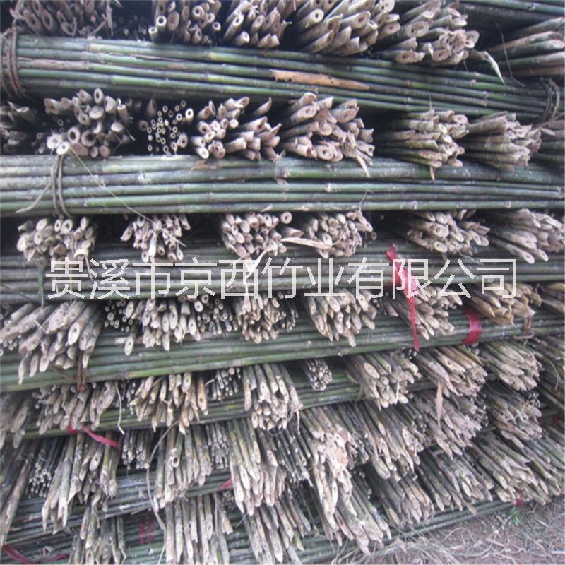 供應(yīng)編蒜箔用的4米5米小竹桿 苦竹桿
