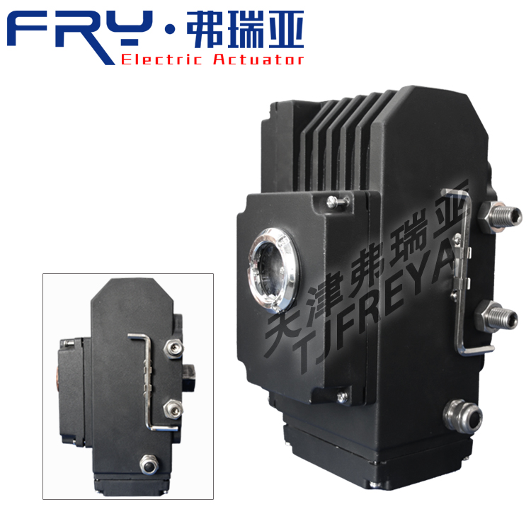 精小型電動執(zhí)行器 一體化閥門電動裝置 開關(guān)型 DCL-100