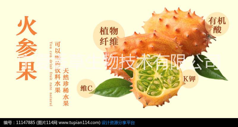 火參果粉火參果提取物 奇瓦諾果汁 非洲刺角瓜粉 蜜瓜多糖 火星果粉 濃縮汁寧夏廠家批發(fā)價格