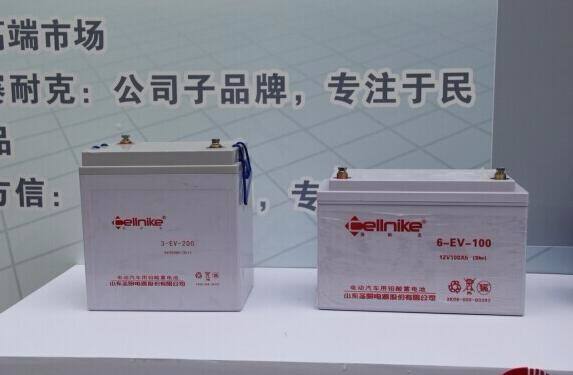 耐克蓄電池6-EV-100/12V100規(guī)格參數(shù)